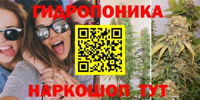 дмт Лесосибирск