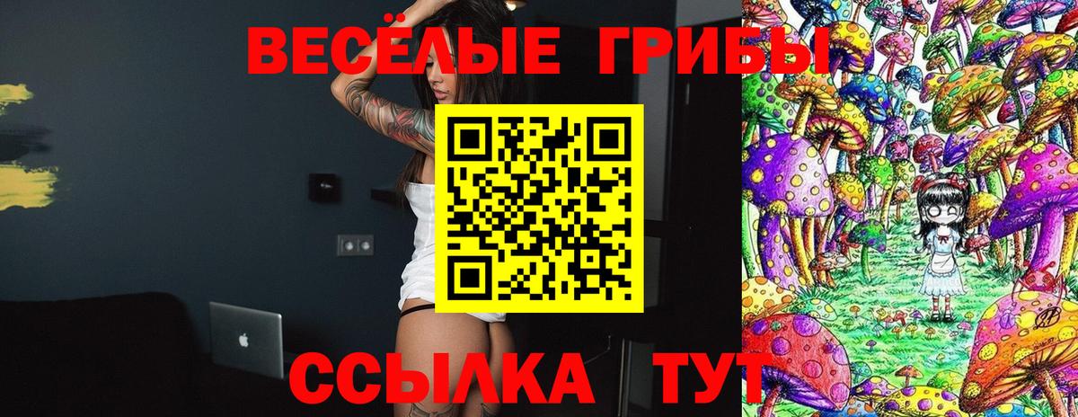 Псилоцибиновые грибы GOLDEN TEACHER Джанкой